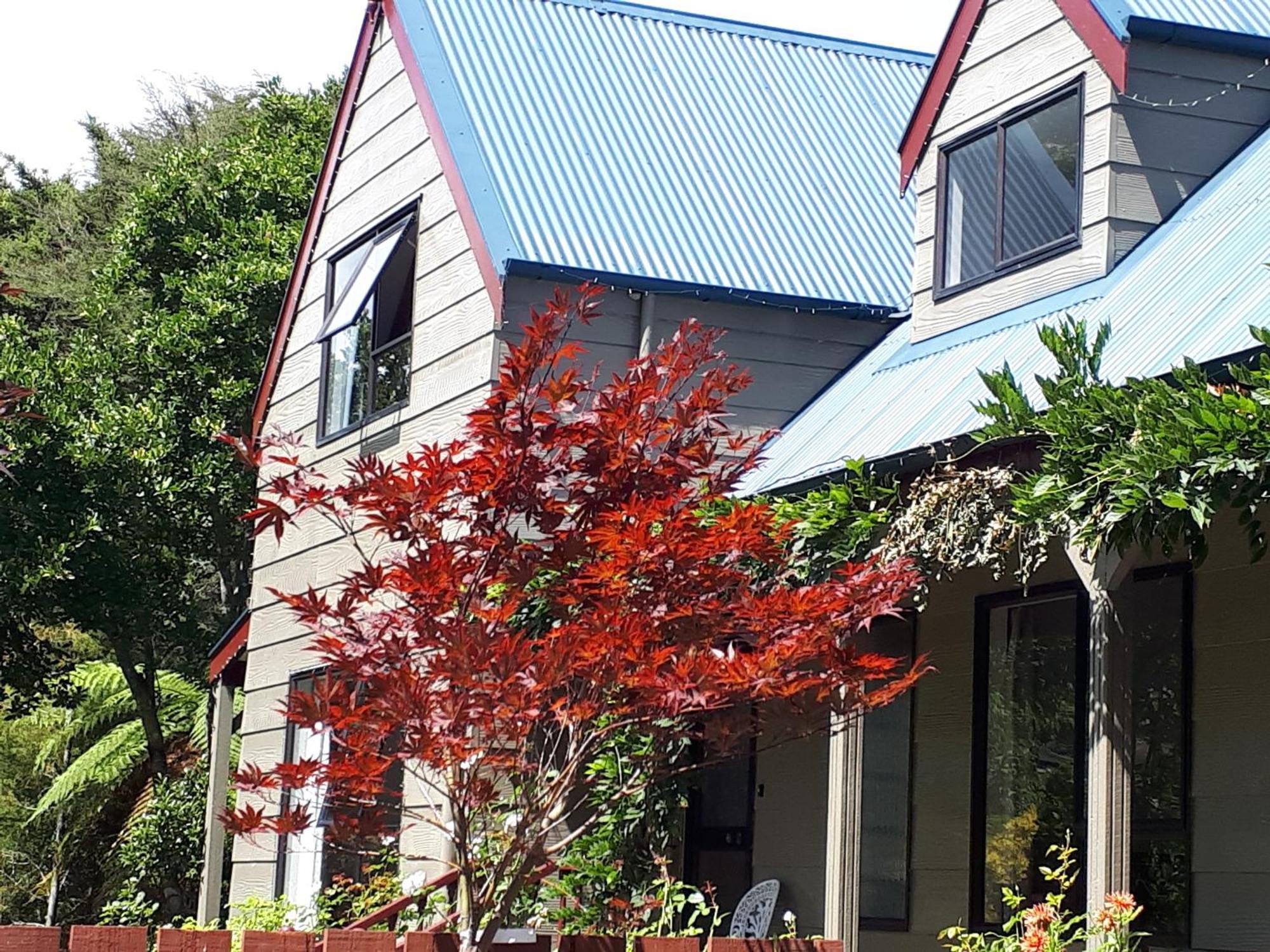 Rangaroa Heights Bed and Breakfast Taumarunui Exteriör bild