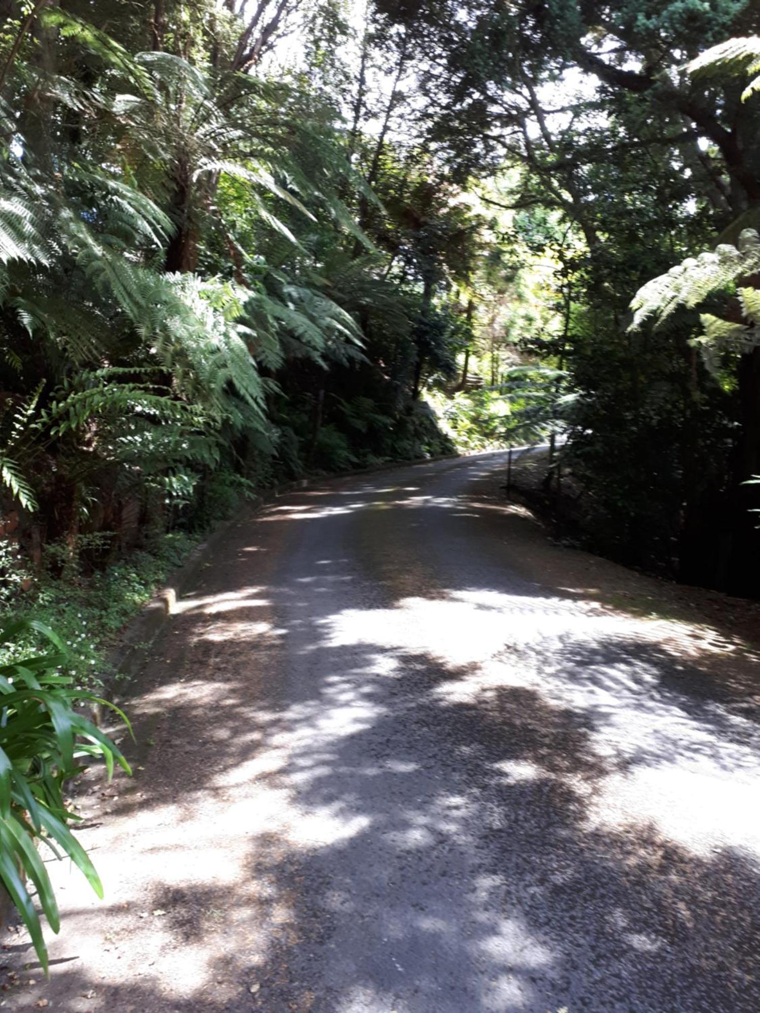 Rangaroa Heights Bed and Breakfast Taumarunui Exteriör bild
